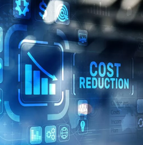 Cost Efficiency